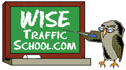 WiseTrafficSchool.com Logo