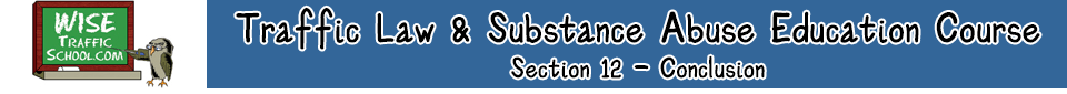 Wise Traffic School Traffic Law & Substance Abuse Education Course Header